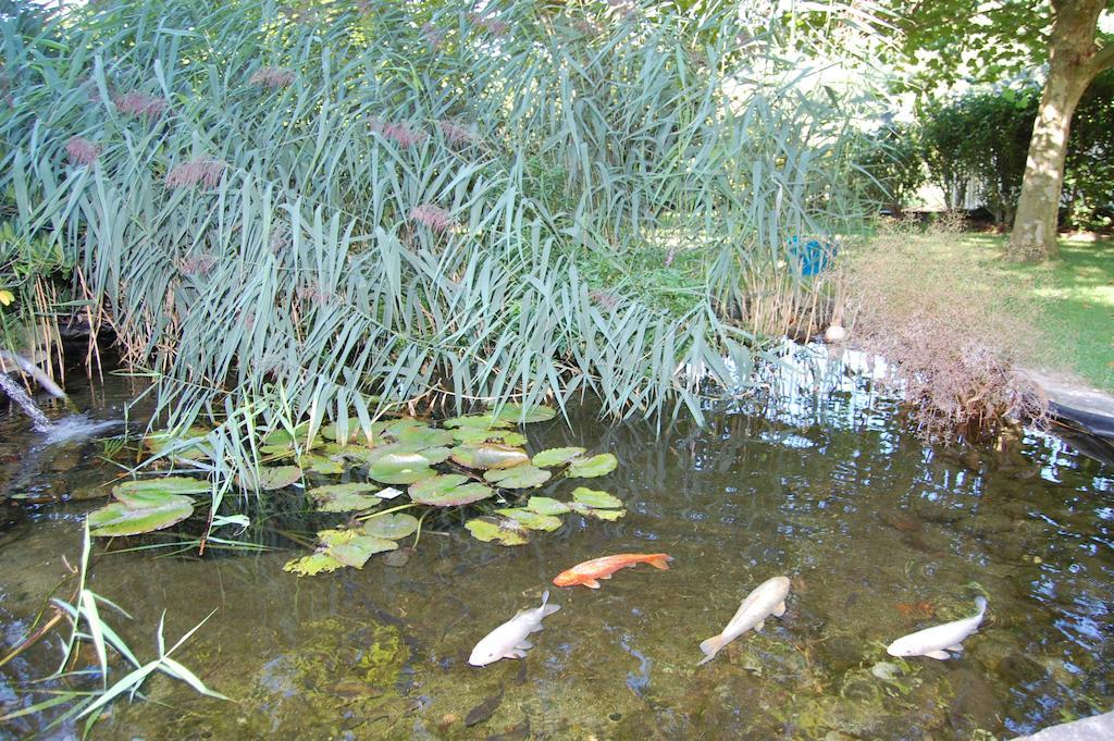 Landgasthof Jaegerstuebchen Neustadt an der Weinstraße Kültér fotó