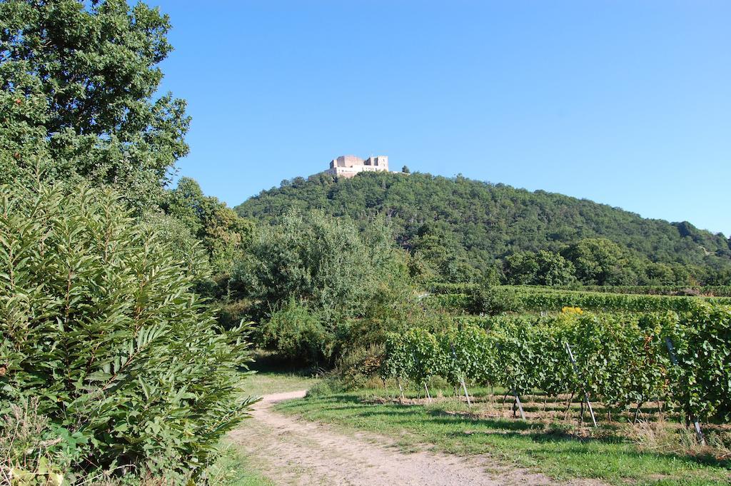 Landgasthof Jaegerstuebchen Neustadt an der Weinstraße Kültér fotó