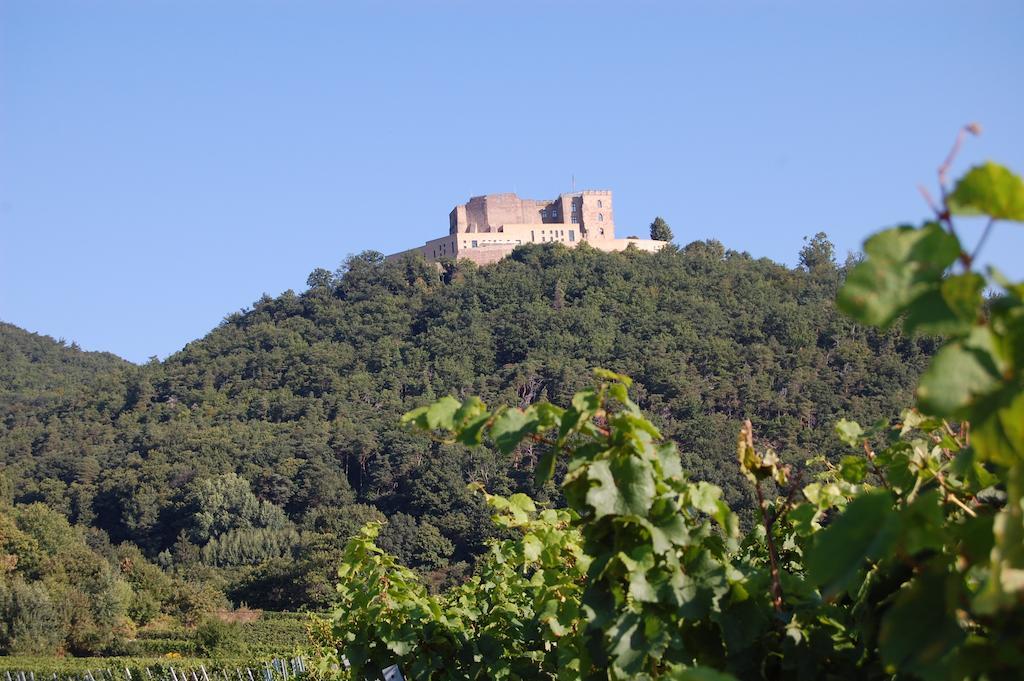 Landgasthof Jaegerstuebchen Neustadt an der Weinstraße Kültér fotó
